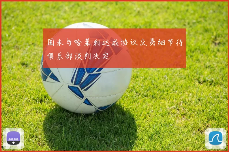国米与哈莱利达成协议交易细节待俱乐部谈判决定