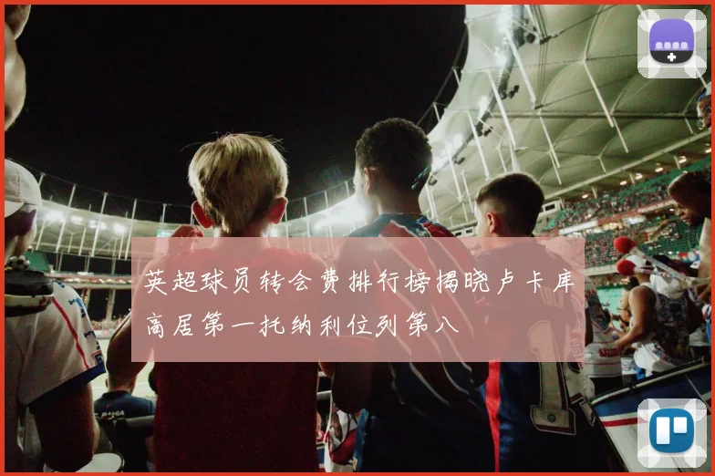 英超球员转会费排行榜揭晓卢卡库高居第一托纳利位列第八